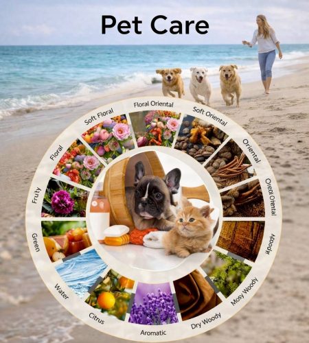 pet care_portail